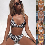 Europe and the United States sexy explosions swimsuit leopard snake pattern high waist ladies bikini - Aqova