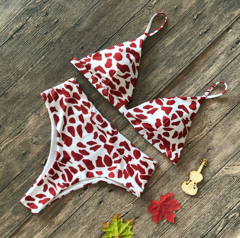 Europe and the United States sexy explosions swimsuit leopard snake pattern high waist ladies bikini - Aqova
