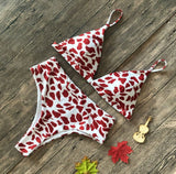 Europe and the United States sexy explosions swimsuit leopard snake pattern high waist ladies bikini - Aqova